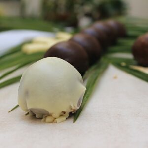 Choco balls / Kuglice sa čokoladom